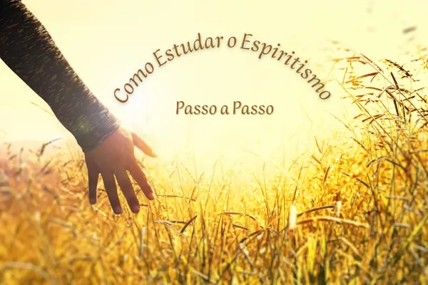 Como Estudar o Espiritismo